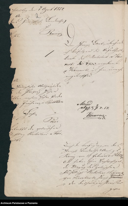 Obraz 5 z jednostki "A. betr. Johann Bolesław von Karśnicki zu Roszkówko"