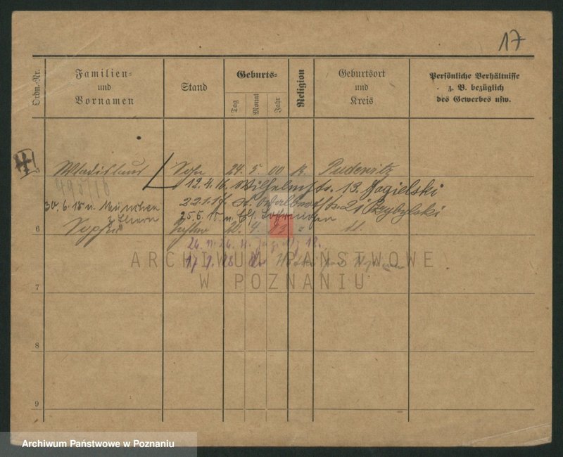 Obraz 19 z jednostki "Przybylski (żonaci - samotni mężczyźni do Gustaw)"