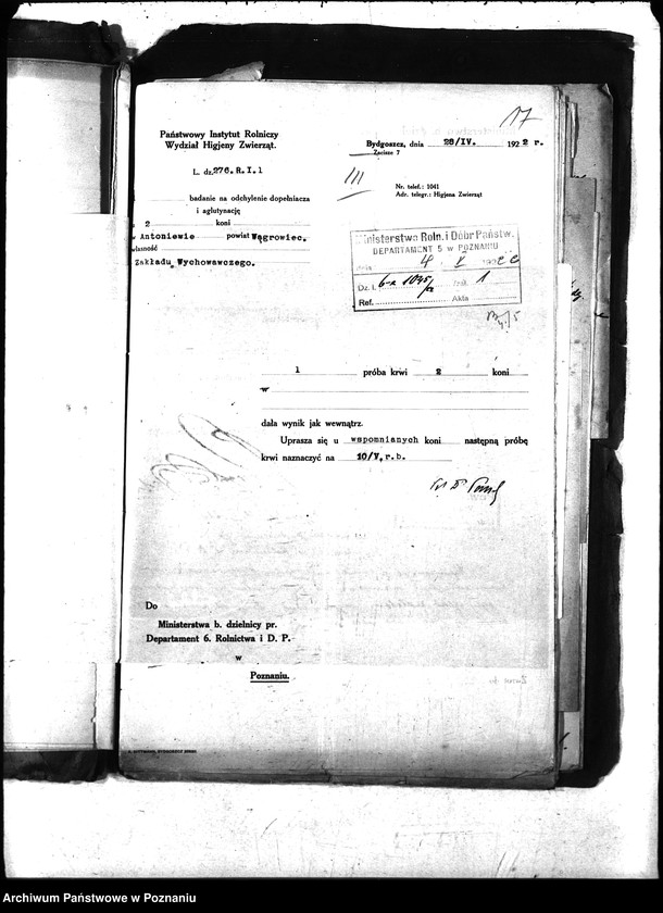 Obraz 20 z jednostki "Nosacizna - Wągrowiec"