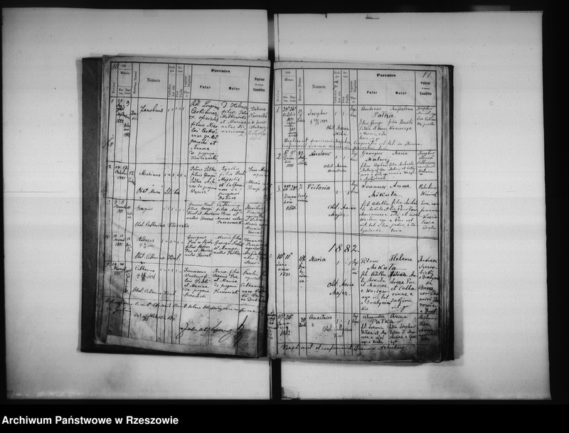 image.from.unit.number "Księga urodzeń Biała, Matysówka, Zalesie Drabinianka, Rzeszów, Tyczyn"