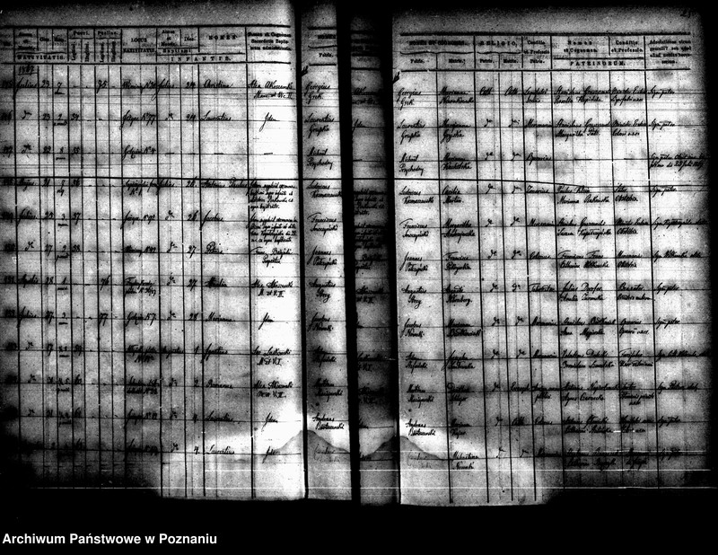 Obraz 16 z jednostki "Księga urodzin"