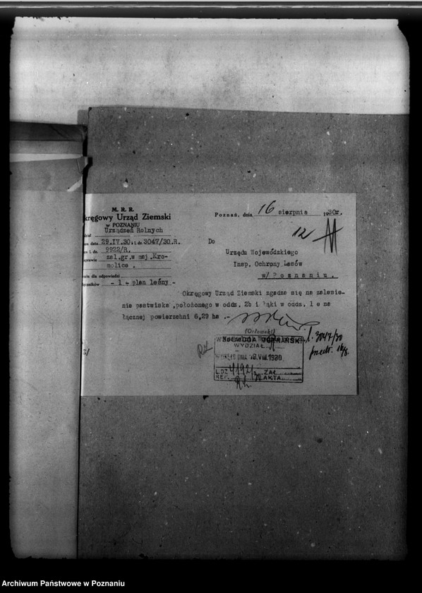 image.from.unit.number "Majętność leśna Kromolice powiat krotoszyński"