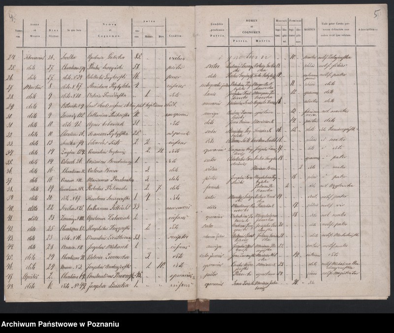 Obraz 5 z jednostki "Księga zgonów"