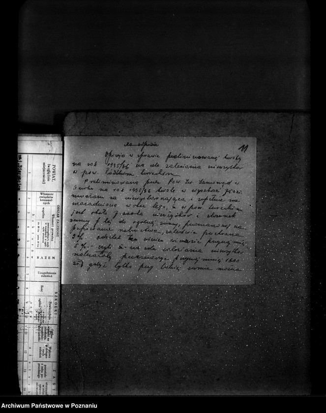 Obraz 15 z jednostki "Zalesienie nieużytków w powiecie tureckim"