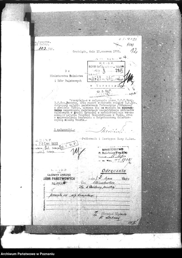 Obraz 16 z jednostki "Domeny"