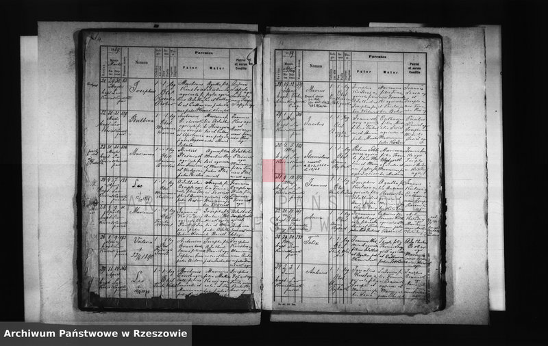 image.from.unit.number "Księga urodzeń - Kąkolówka"