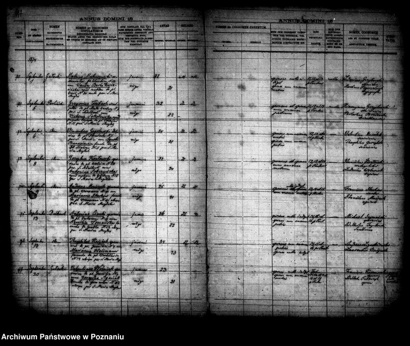 Obraz 10 z jednostki "Księga małżeństw"