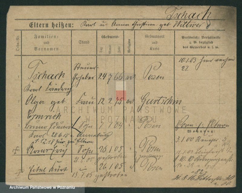 Obraz 19 z jednostki "Tsang - Tuchman"