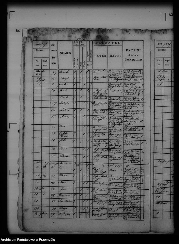 Obraz 11 z jednostki "[Kopie ksiąg metrykalnych parafii Trzcianiec (dekanat Bircza)]"