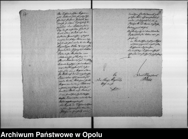 Obraz 14 z jednostki "Acta des Magistrats zu Oppeln betreffend die dem p. Bobreck ertheilte Erlaubniß zum Kleinhandel mit geistigen Getränke und zur Errichtung eines Kaffen=Etablissements in seinem Hause No 35 Odervorstadt so wie die Denunciation des p. Angres"