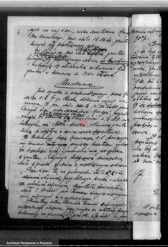 Obraz 10 z jednostki "Majątek Staremiasto powiat koniński /nadzór nad gospodarką leśną/"