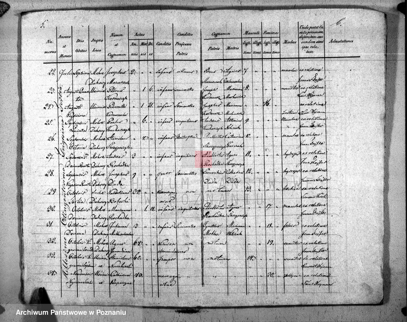 image.from.unit.number "Duplicat natorum, copulatorum, mortuorum"
