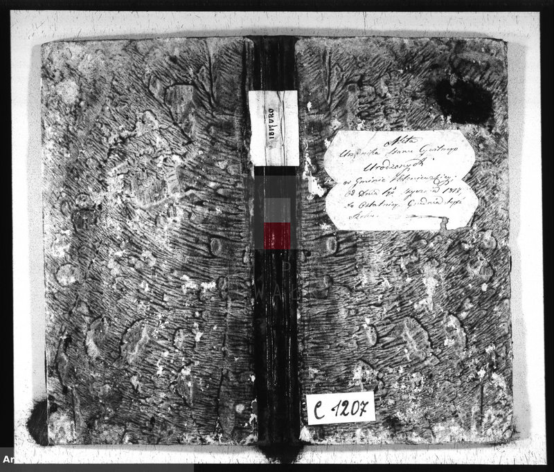 image.from.unit.number "Akta Urzędnika Stanu Cywilnego Urodzonych w Gminie Jeleniewskiey od dnia 1go Stycznia 1817 do ostatniego Grudnia tegoż Roku."