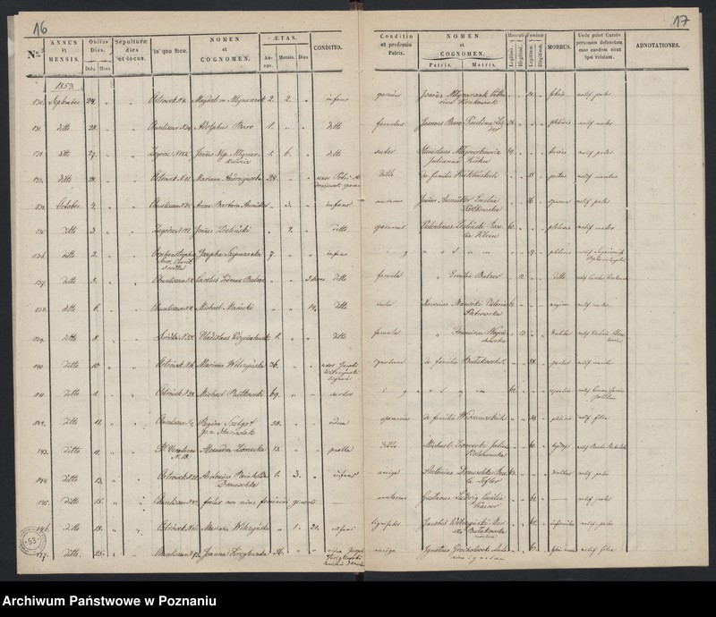 Obraz 11 z jednostki "Księga zgonów"