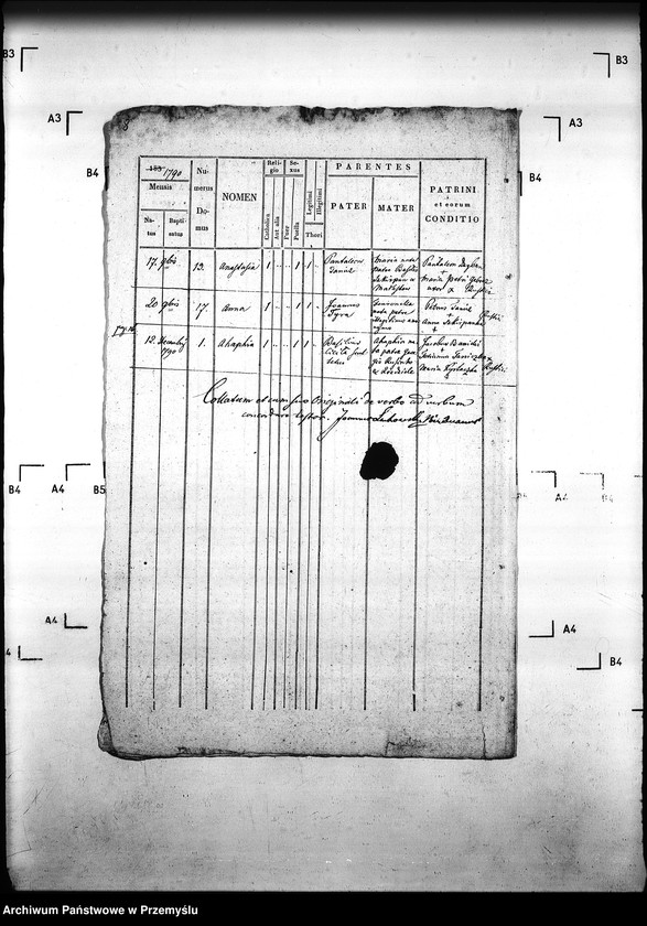 Obraz 12 z jednostki "[Kopie ksiąg metrykalnych parafii Małastów z filiami Ropica Ruska, Pętna (dekanat Gorlice)]"