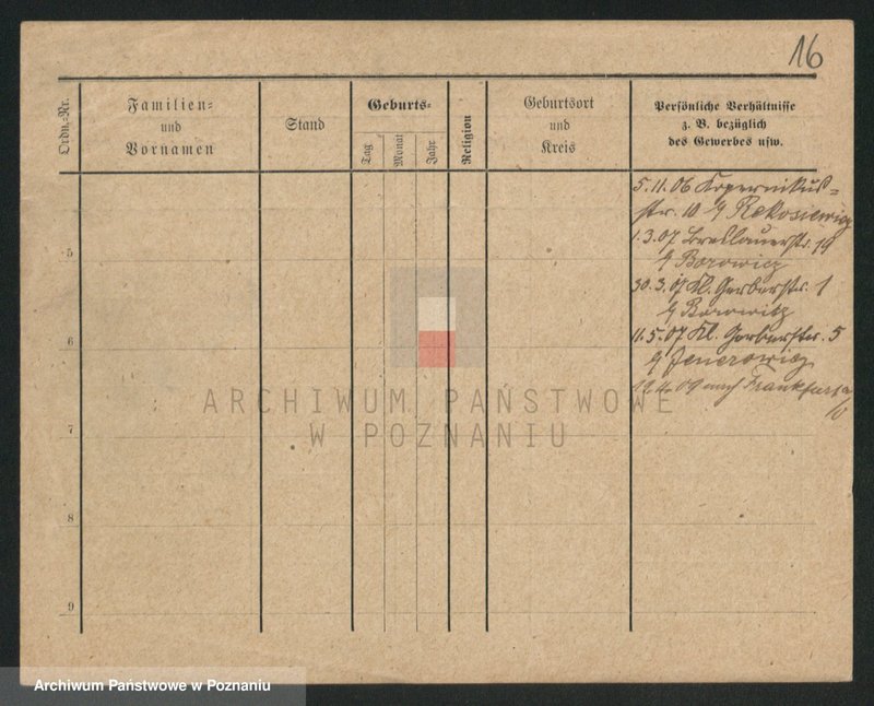 Obraz 16 z jednostki "Krzaczek - Krzyślak"