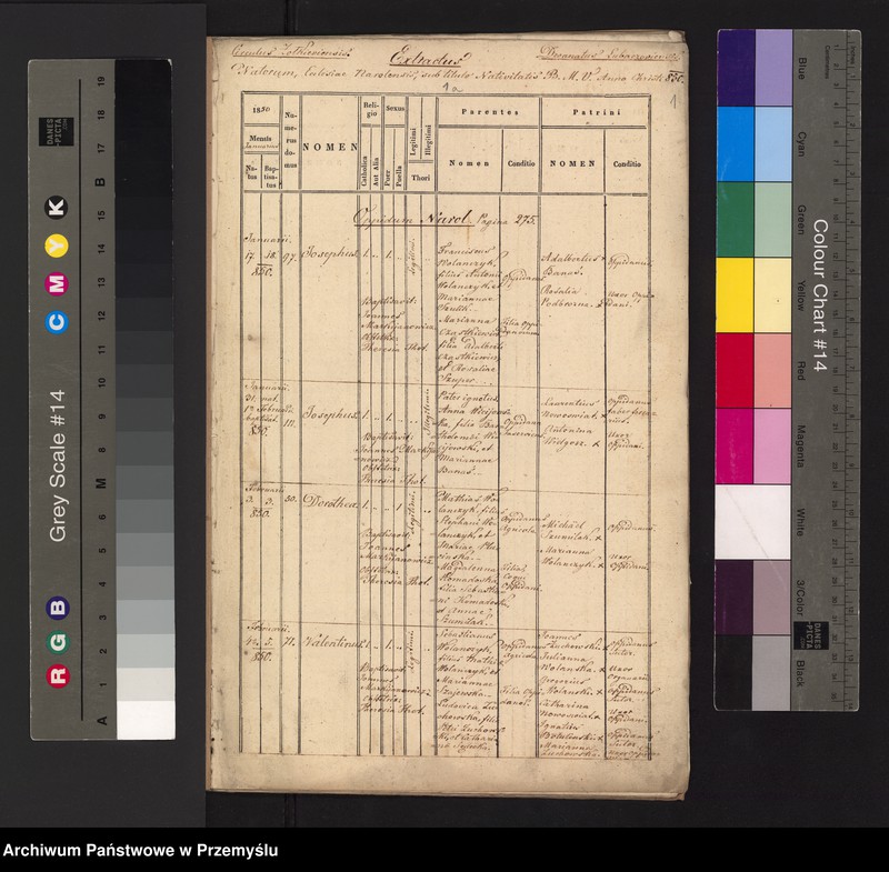 Obraz 3 z jednostki "[Kopie ksiąg metrykalnych urodzeń, małżeństw i zgonów parafii Narol za rok 1850]"