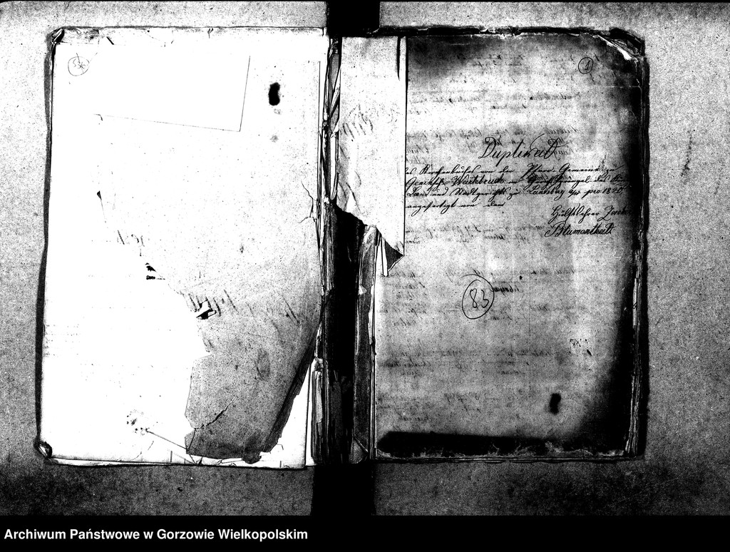 image.from.unit.number "Duplikate der Kirchenbücher von der Parochie Genninsch Warthebruch: Spiegel (Poźrzadło), Blumenthal (Kwiatkowice), Ludwigsthal (Trzęsów), Bergenhorst (Gorzębia), Haferwiese (Gosławka), Pollychener Hollander (Nowe Polichno), Gross Rehne (Rań), Alt Gennin (Jeninek), Ober Gennin (Jeniniec), Unter Gennin (Podjenin)"