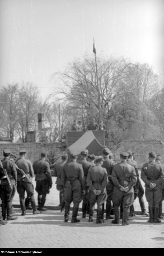 Obraz 16 z kolekcji "Defilada 9 maja 1945 batalion fizylierów 1 BPanc. Al. Hallera, Gdańsk111"