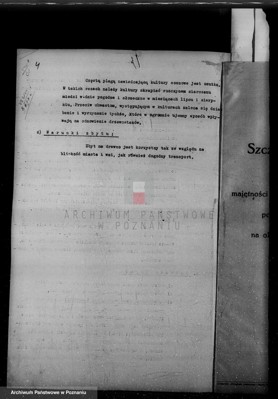 Obraz 8 z jednostki "/Nadzór nad gospodarką leśną w majętności Hutka w powiecie czarnkowskim"