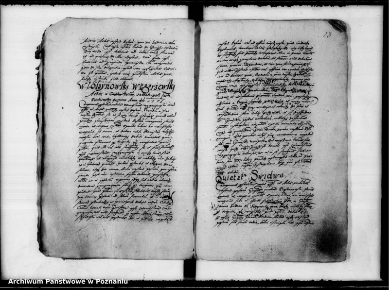 Obraz 17 z jednostki "Inscriptiones, relationes [inducta]"