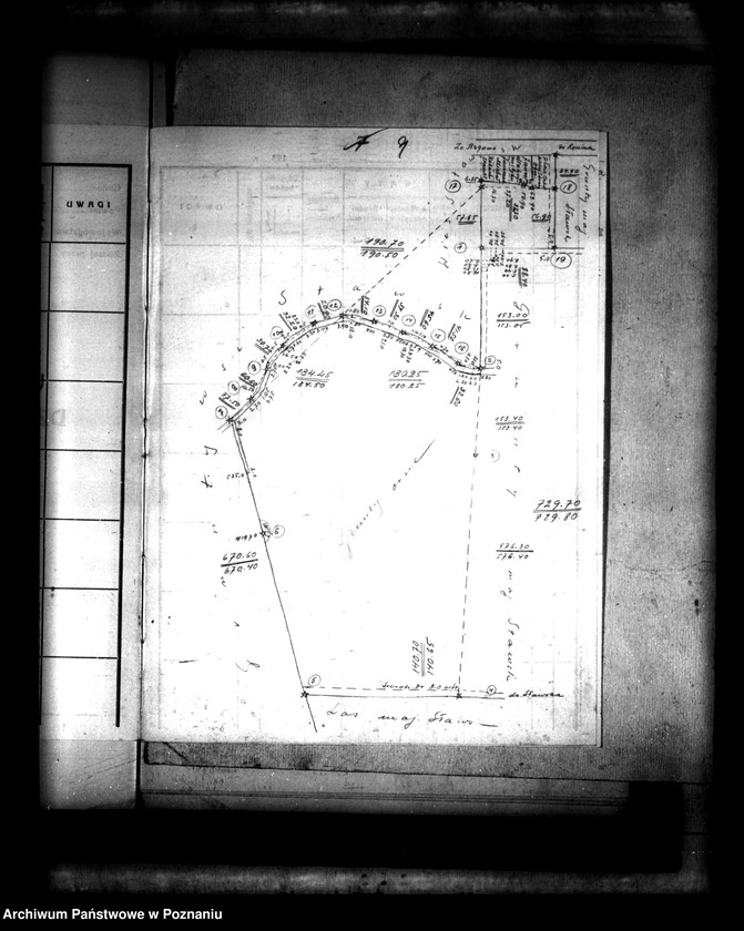 Obraz 12 z jednostki "Ustalenie granic rozparcelowanych części majątku Sławsk powiatu konińskiego"