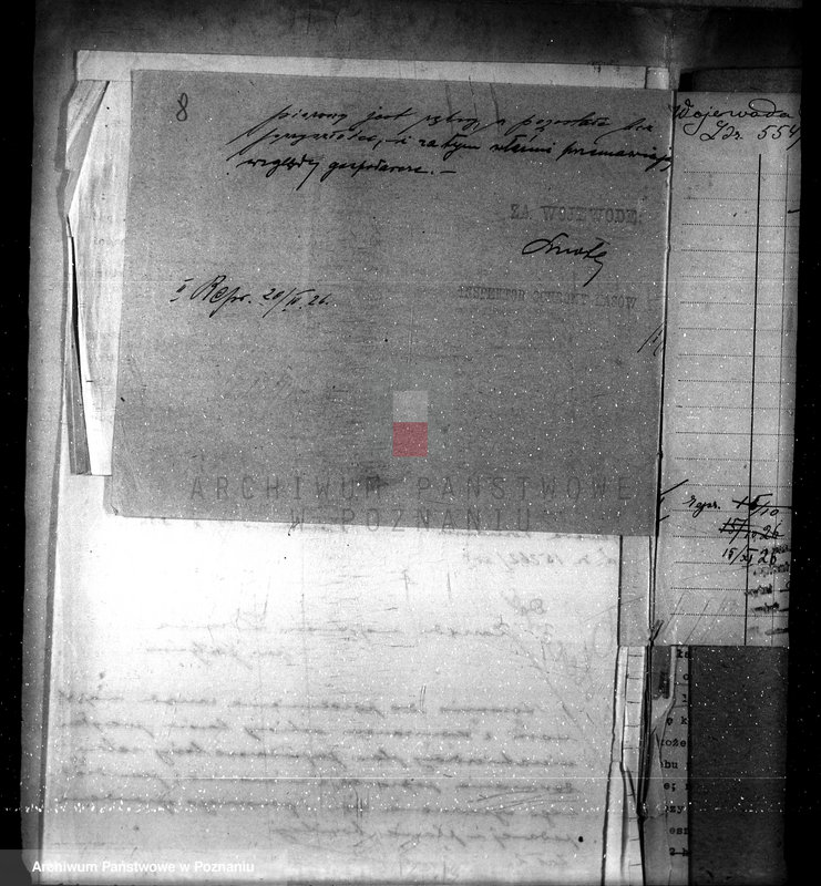 Obraz 12 z jednostki "Nadzór nad gospodarką w lasach majątku Dusina w powiecie gostyńskim"