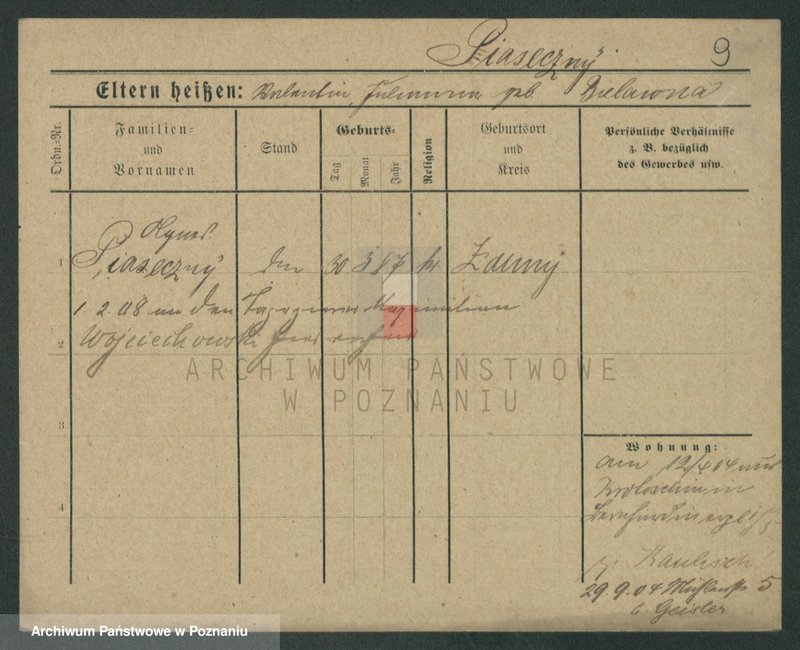 Obraz 11 z jednostki "Piaseczny - Piątkowiak"