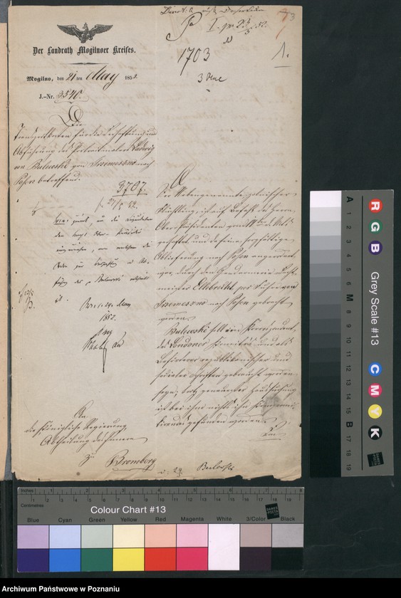 Obraz 4 z jednostki "A. betr. Ludwig Bulewski"