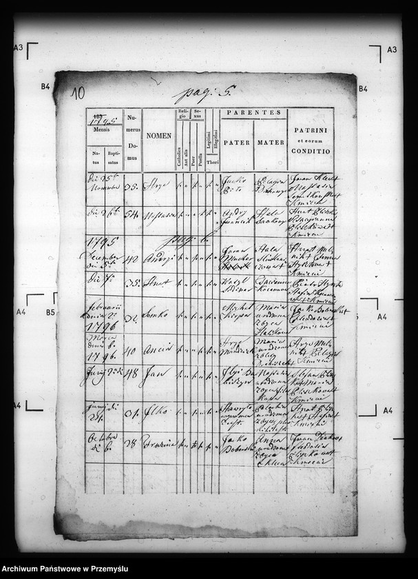 image.from.unit.number "[Kopie ksiąg metrykalnych parafii Krzywe z filiami Przysłup, Roztoka (dekanat Cisna)]"