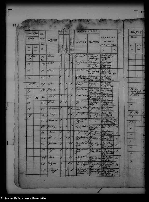 Obraz 7 z jednostki "[Kopie ksiąg metrykalnych parafii Trzcianiec (dekanat Bircza)]"
