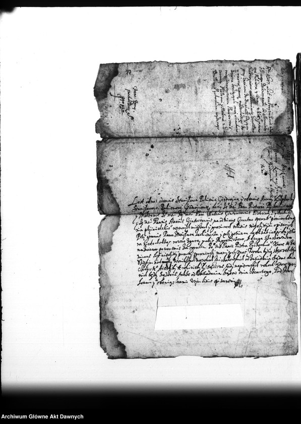 image.from.team "Archiwum Platerów z Antuzowa"