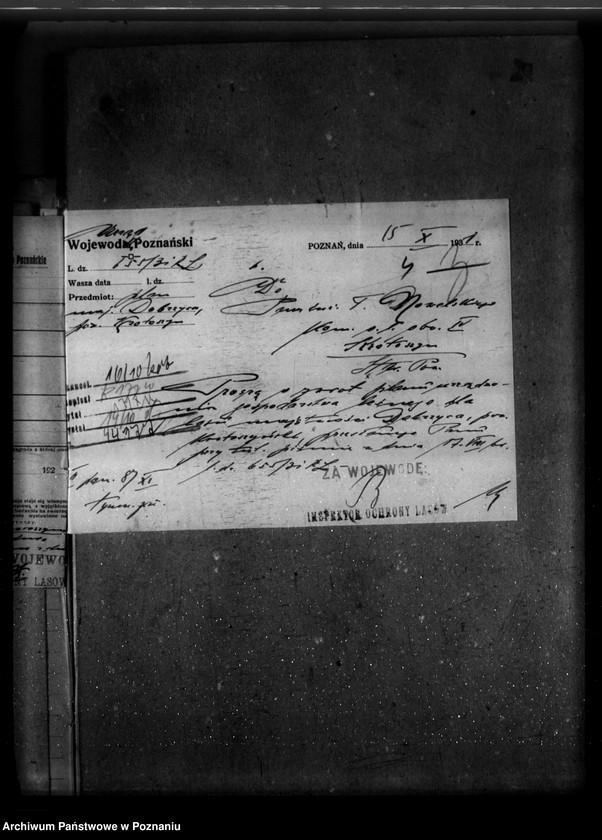 image.from.unit.number "Majętność leśna Dobrzyca powiat krotoszyński"