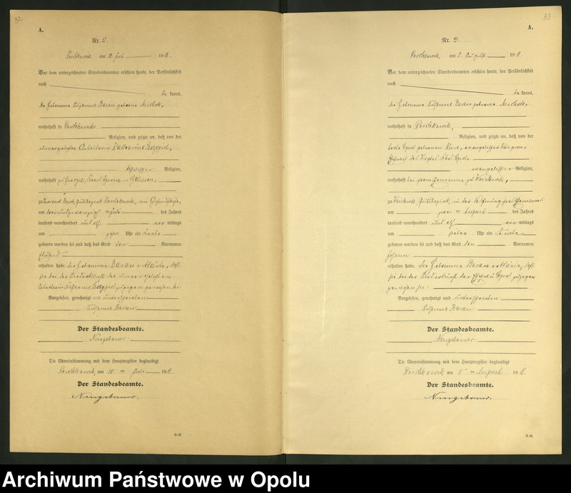 Obraz 19 z jednostki "Geburts-Register (Neben-Register) Standesamt Roschkowitz 1911 No.1 bis 49"