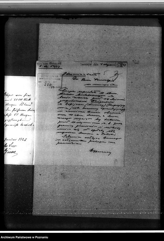 Obraz 9 z jednostki "/Nadzór nad gospodarką w lasach gminy Osuch w powiecie czarnkowskim własność Ewald Draeger"