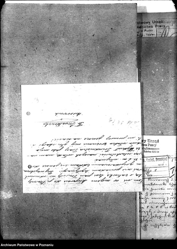 Obraz 18 z jednostki "Państwowy Urząd Pośrednictwa Pracy w Pucku"