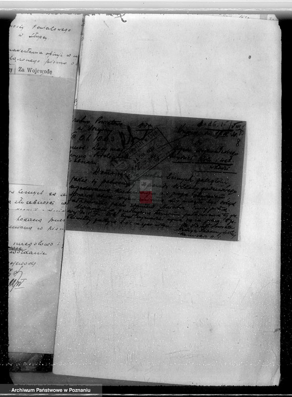 Obraz 13 z jednostki "Ustalenie powierzchni leśnej majątku Wilczyno-Podole powiat słupecki oraz nieprawne wyręby lasu"