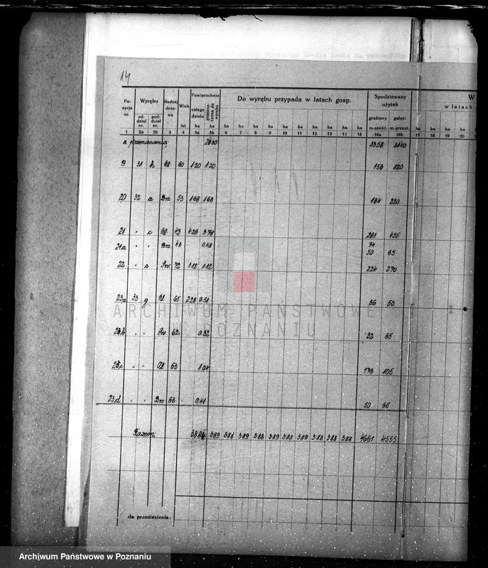 Obraz 18 z jednostki "Nadzór nad lasami/ majątku Lubasz powiatu czarnkowskiego"