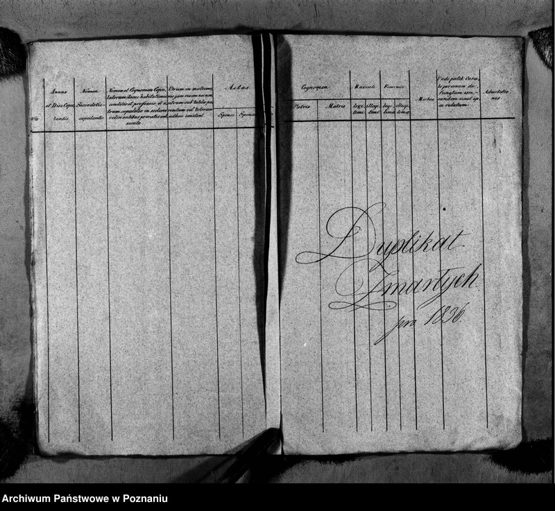 Obraz 14 z jednostki "Duplikat ochrzczonych, zaślubionych i zmarłych"