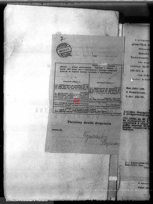 image.from.unit.number "Las majętność Ocieszyn powiat obornicki"