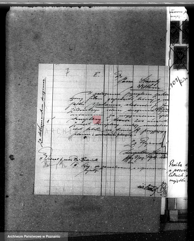 Obraz 11 z jednostki "Majętność /leśna/ Ni echanowo w powiecie gnieźnieńskim"