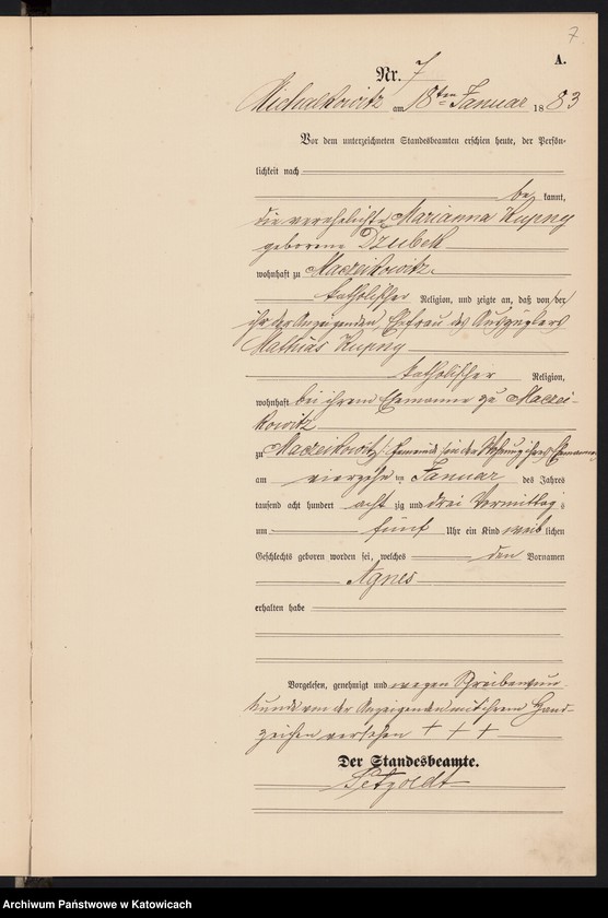 Obraz 10 z jednostki "[Księga urodzeń za rok 1883, nr 1-96]"