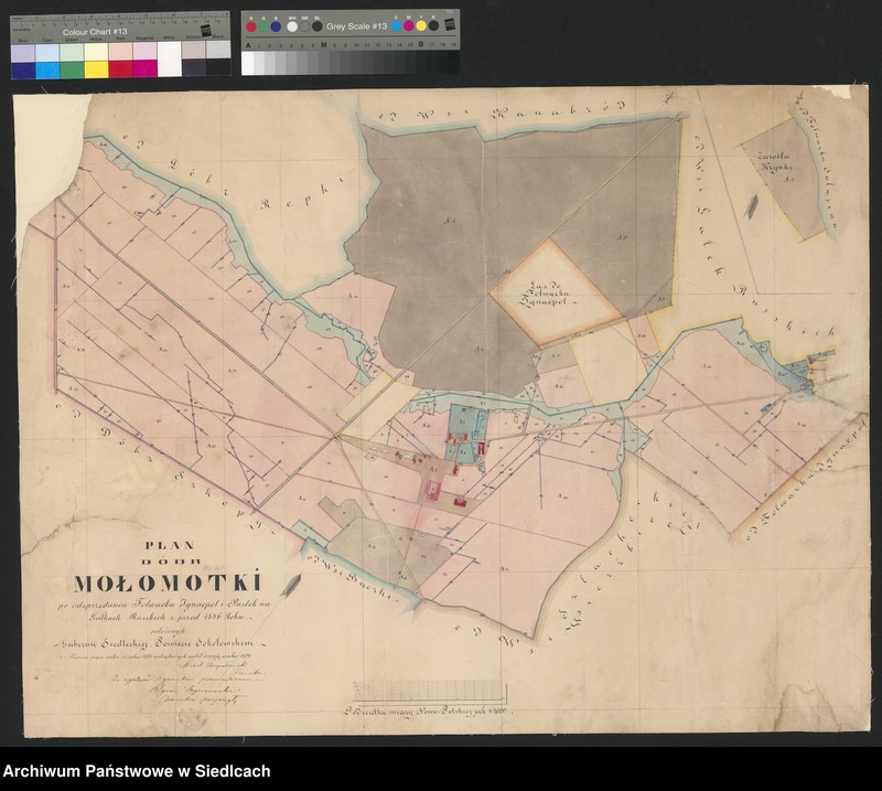 Obraz 4 z kolekcji "Plany folwarków guberni siedleckiej111"