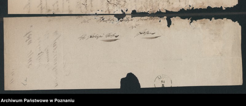 Obraz 5 z jednostki "A. betr. Familie von Jarzembowski"