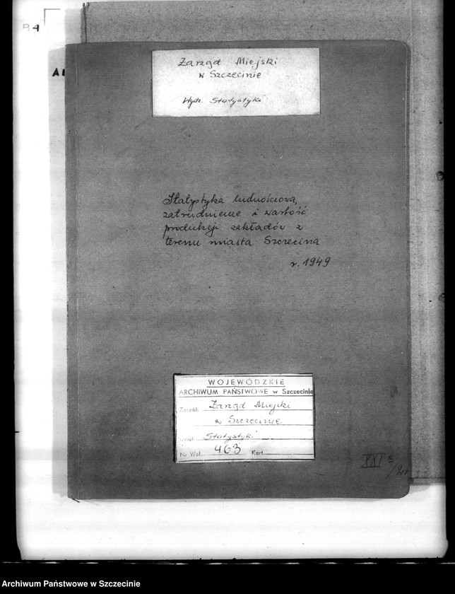 Obraz 3 z jednostki "Statystyka ludnościowa. Zatrudnienie i wartość produkcji zakładów z terenu miasta Szczecina"