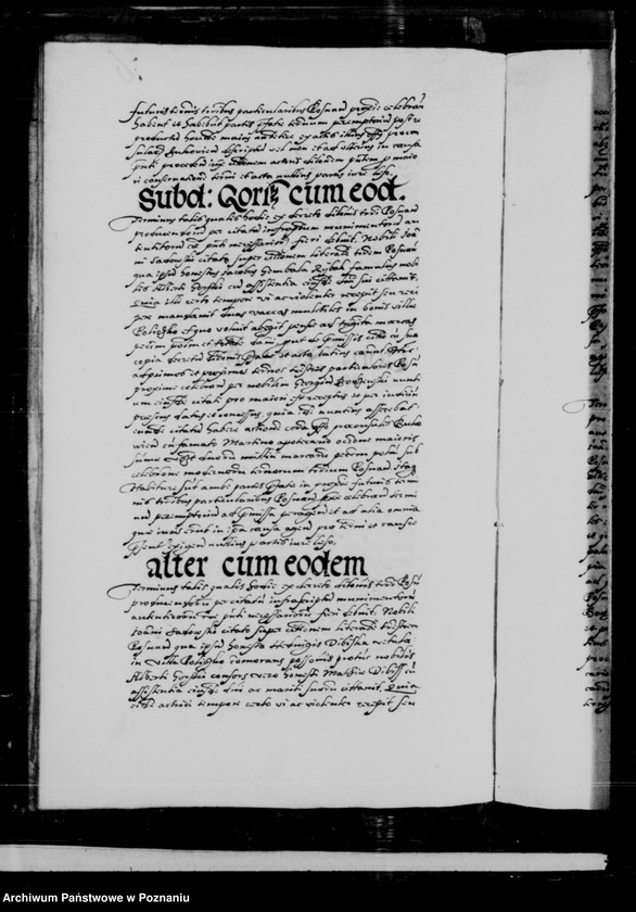 Obraz 17 z jednostki "Inscriptiones, relationes, decreta [inducta]"