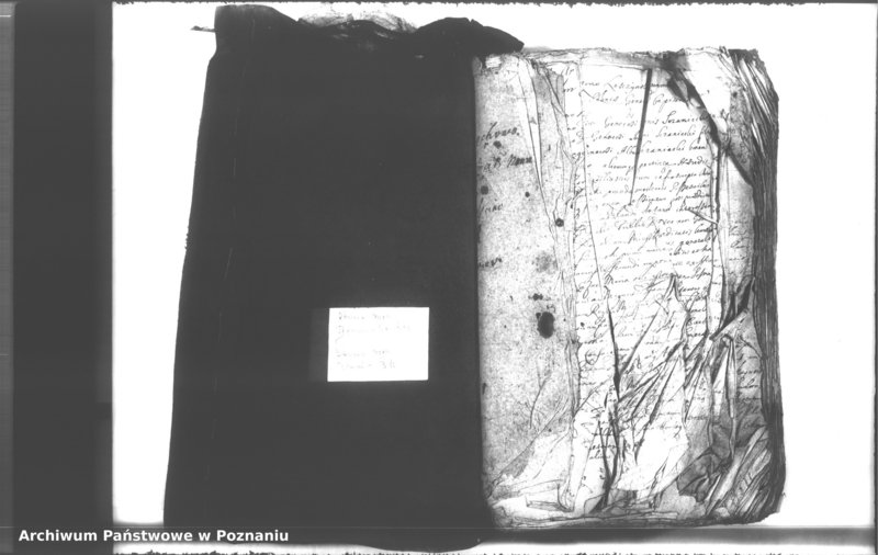 Obraz 3 z jednostki "Relationes [protocollon]"