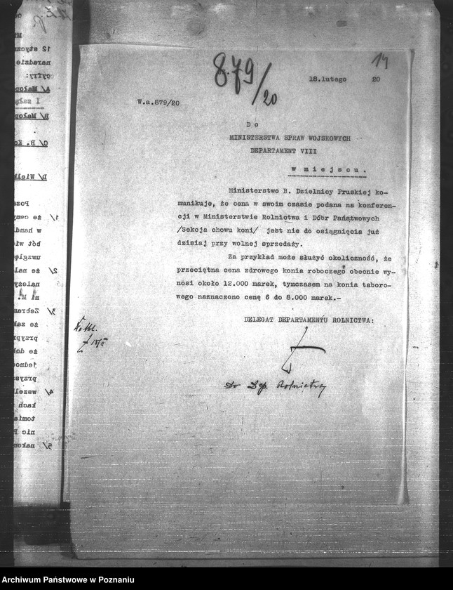 Obraz 18 z jednostki "Konie"