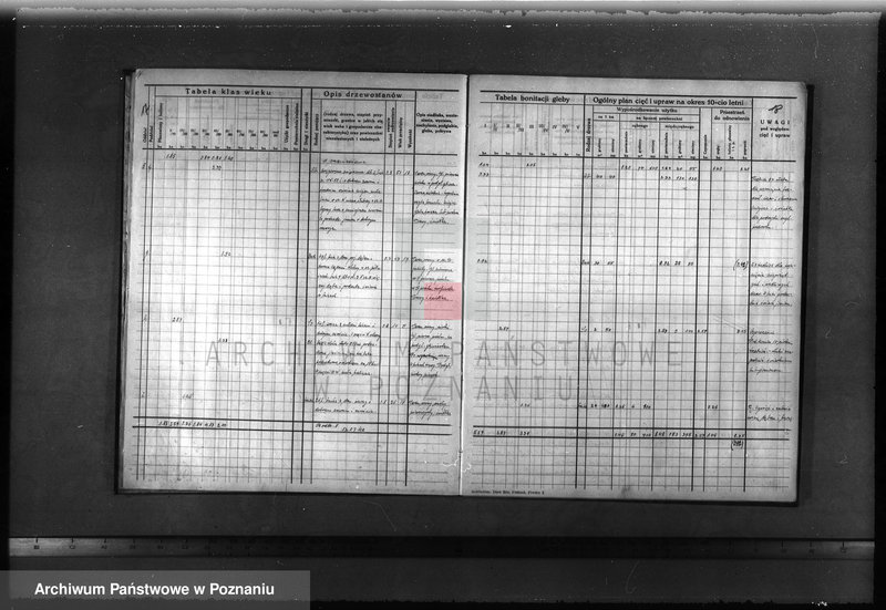 image.from.unit.number "Plan urządzenia gospodarstwa leśnego dla lasu majątku Lubosz powiatu międzychodzkiego 1936-1946"