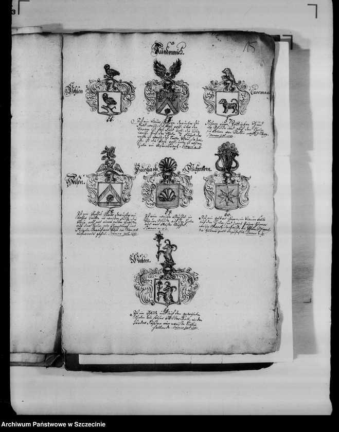 image.from.unit.number "Abbildungen von 178 adelichen grostentheils Pommern-Wappen der pommerschen adlichen Familien"